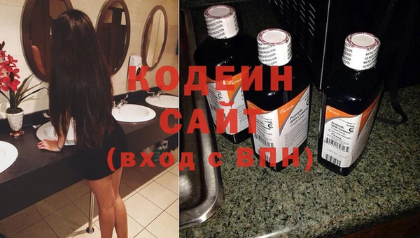 индика Баксан