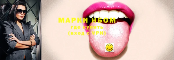 индика Баксан