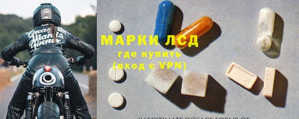 сатива Балахна