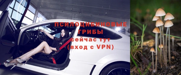 индика Баксан
