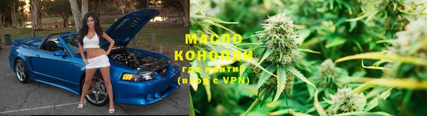 сатива Балахна